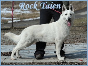 Rock Taien